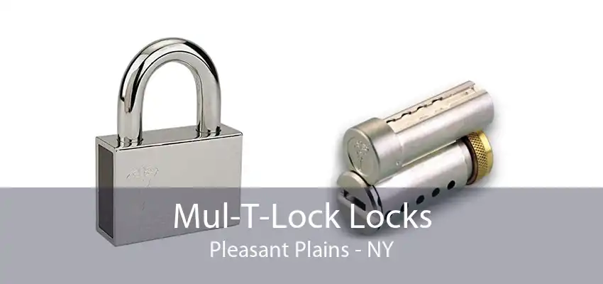 Mul-T-Lock Locks Pleasant Plains - NY