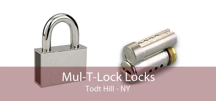 Mul-T-Lock Locks Todt Hill - NY