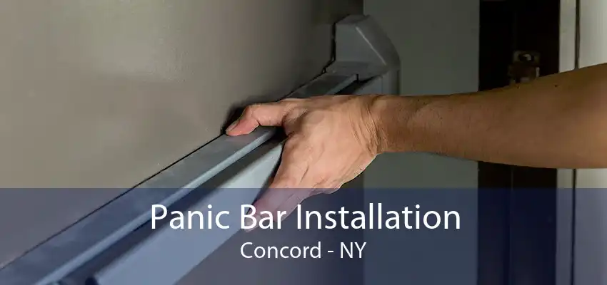 Panic Bar Installation Concord - NY