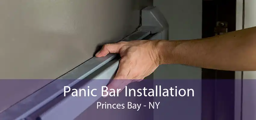 Panic Bar Installation Princes Bay - NY