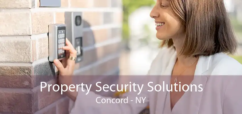 Property Security Solutions Concord - NY
