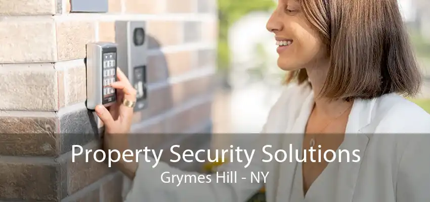 Property Security Solutions Grymes Hill - NY