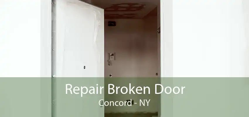 Repair Broken Door Concord - NY