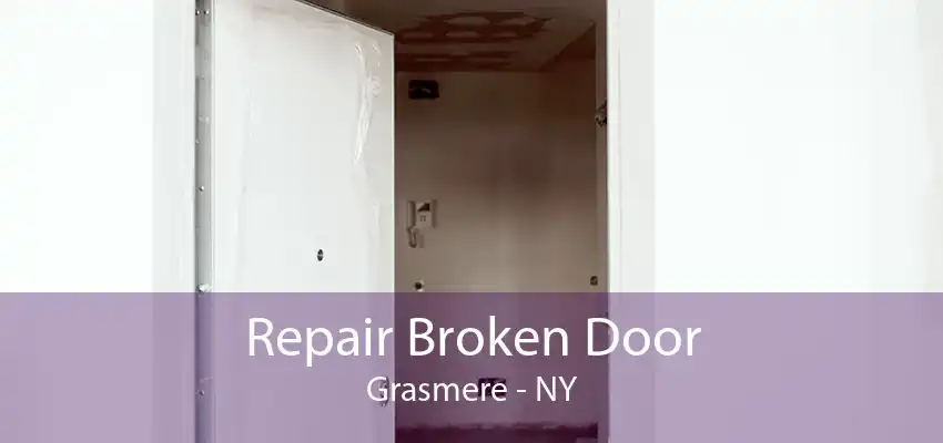 Repair Broken Door Grasmere - NY