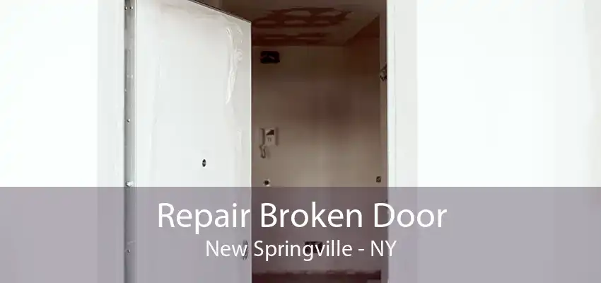 Repair Broken Door New Springville - NY