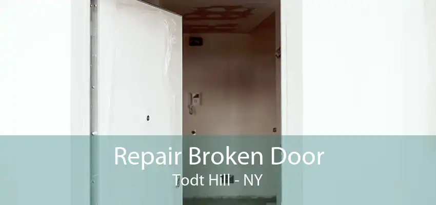 Repair Broken Door Todt Hill - NY
