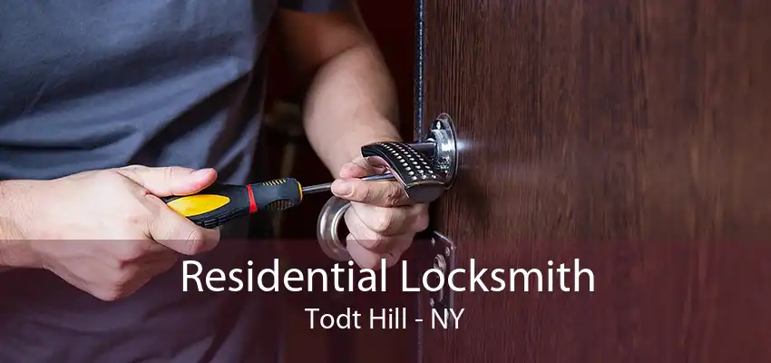 Residential Locksmith Todt Hill - NY