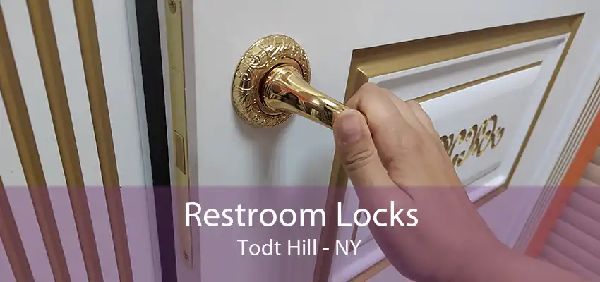 Restroom Locks Todt Hill - NY