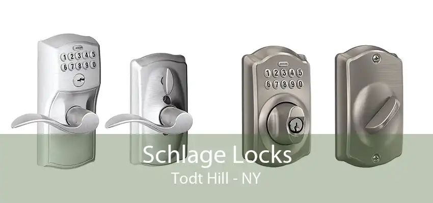 Schlage Locks Todt Hill - NY