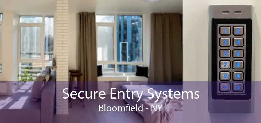 Secure Entry Systems Bloomfield - NY