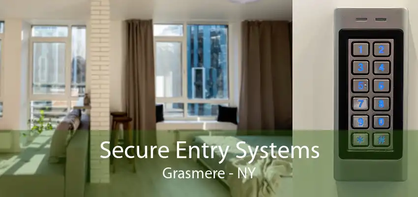 Secure Entry Systems Grasmere - NY