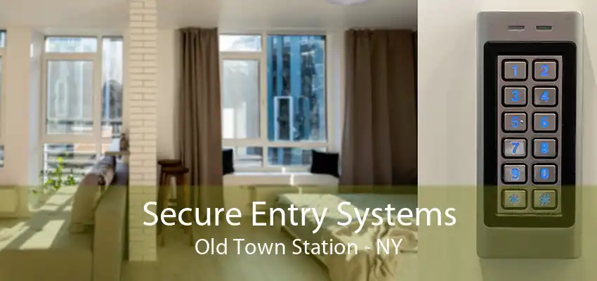 Secure Entry Systems Old Town Station - NY