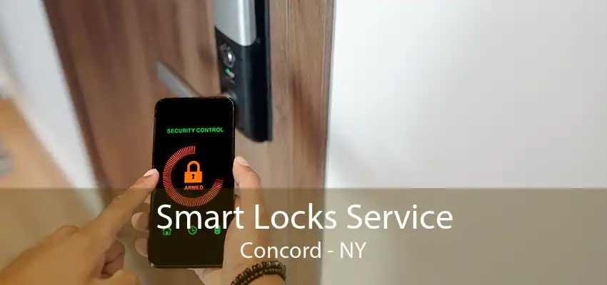 Smart Locks Service Concord - NY