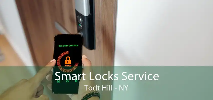Smart Locks Service Todt Hill - NY