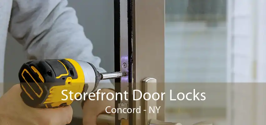Storefront Door Locks Concord - NY