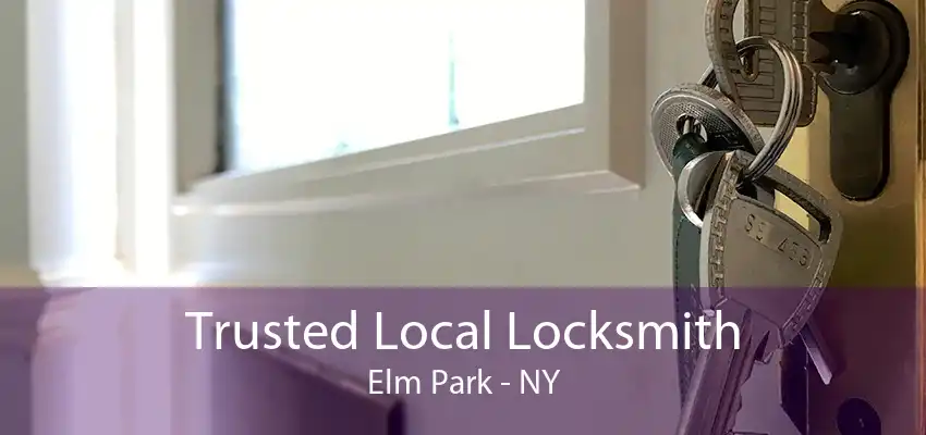 Trusted Local Locksmith Elm Park - NY
