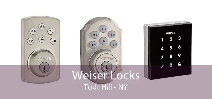 Weiser Locks Todt Hill - NY